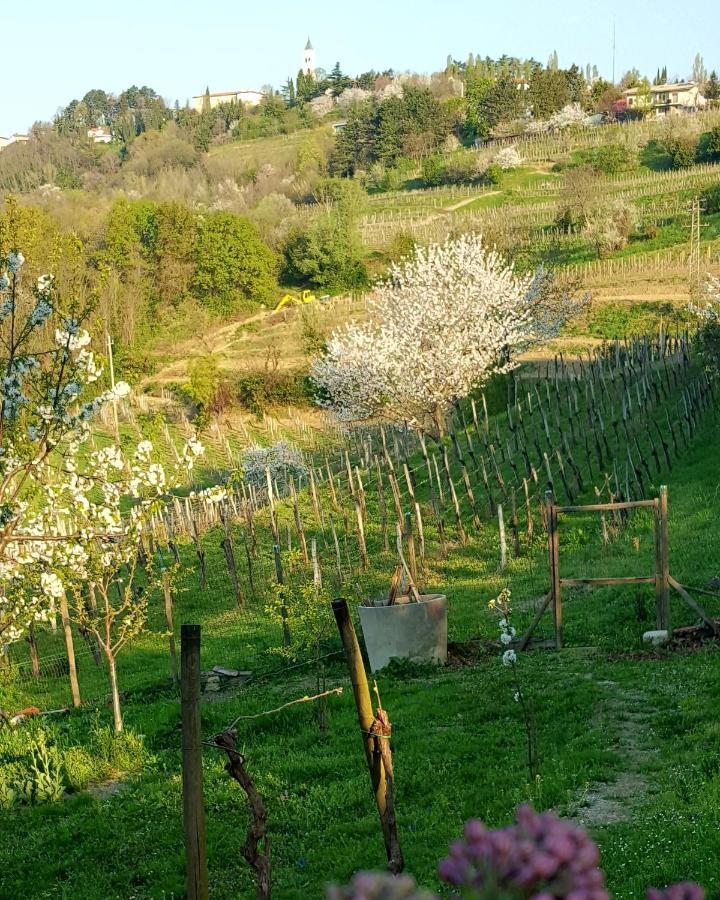 Casaroman San Floriano del Collio Экстерьер фото