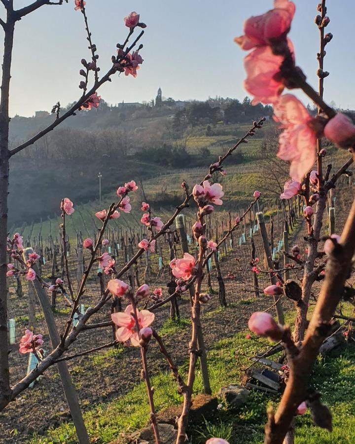 Casaroman San Floriano del Collio Экстерьер фото