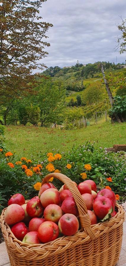 Casaroman San Floriano del Collio Экстерьер фото