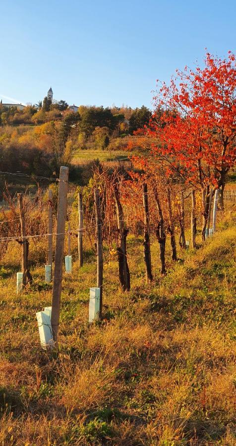 Casaroman San Floriano del Collio Экстерьер фото