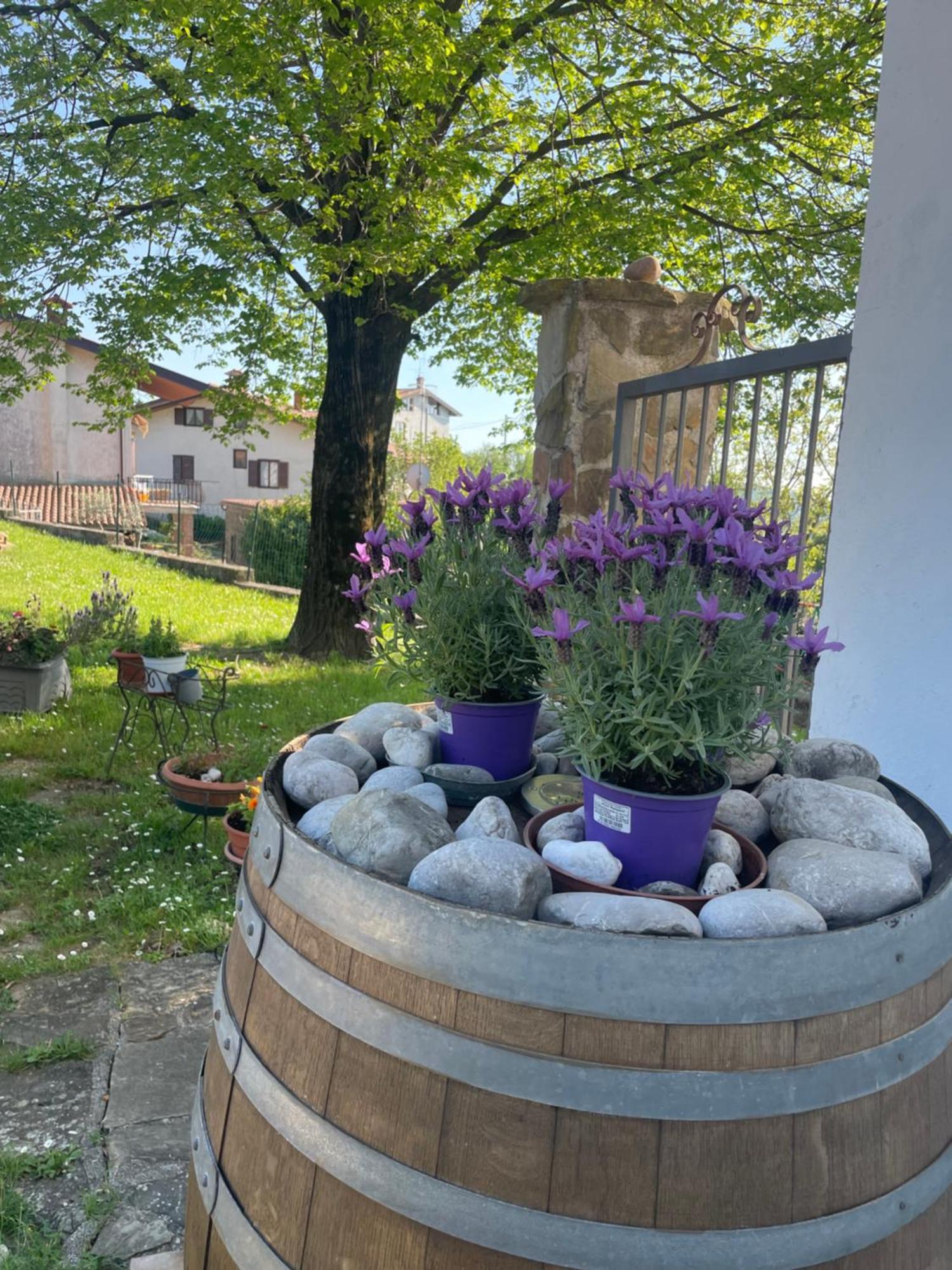Casaroman San Floriano del Collio Экстерьер фото